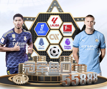 英超官方：将对桑德兰球员海特勒伊达疑似遭种族歧视一事进行调查